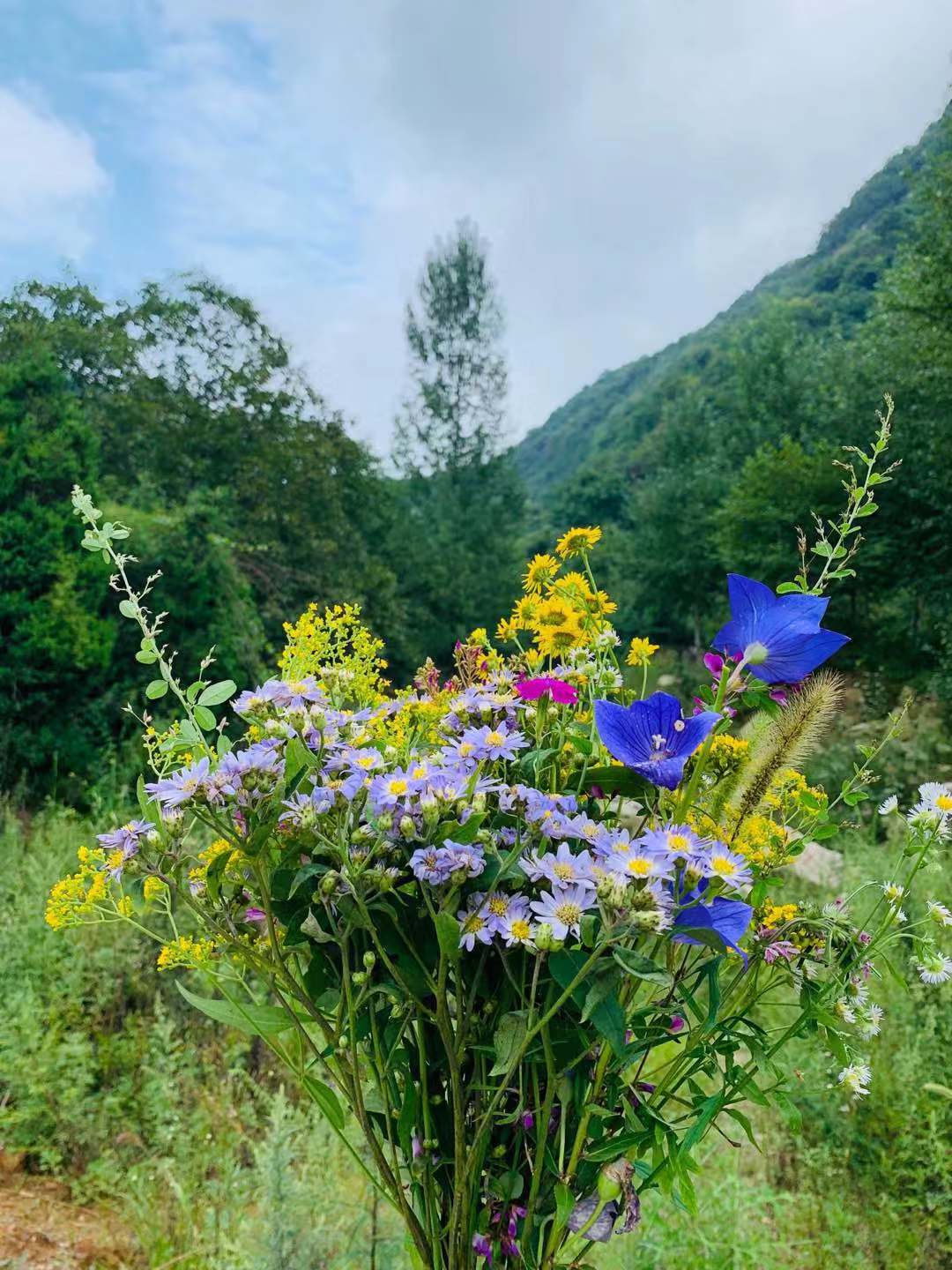 户外领队介绍路线,户外领队采访