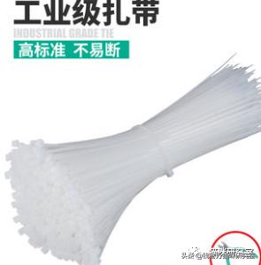 宠物托运全过程狗狗,宠物托运全过程国外