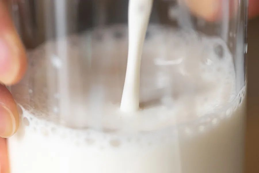 小众牛奶品牌,19年小众牛奶