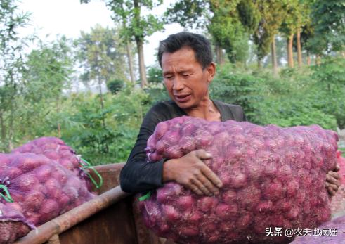价格遭遇腰斩,价格暴跌几乎腰斩