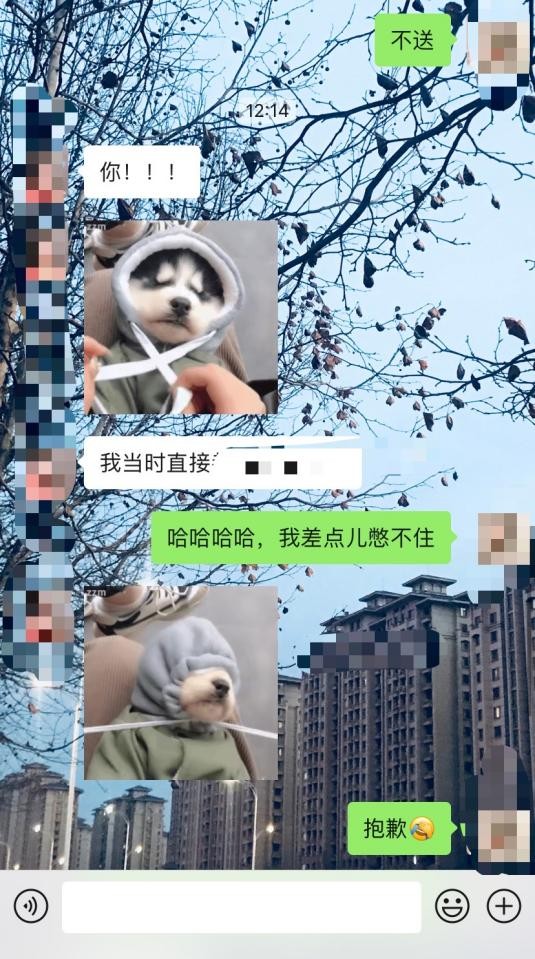 回避型依恋转为安全型的表现,回避型依恋最后的归宿