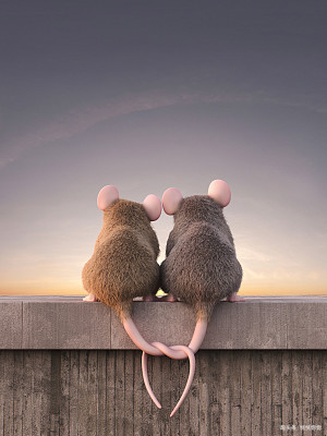 为什么漂亮女生的男朋友都不帅,感觉很多漂亮的女生都很自卑