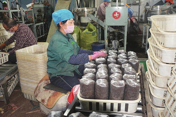 吉林省复工复产最新消息,吉林省推动企业复工复产