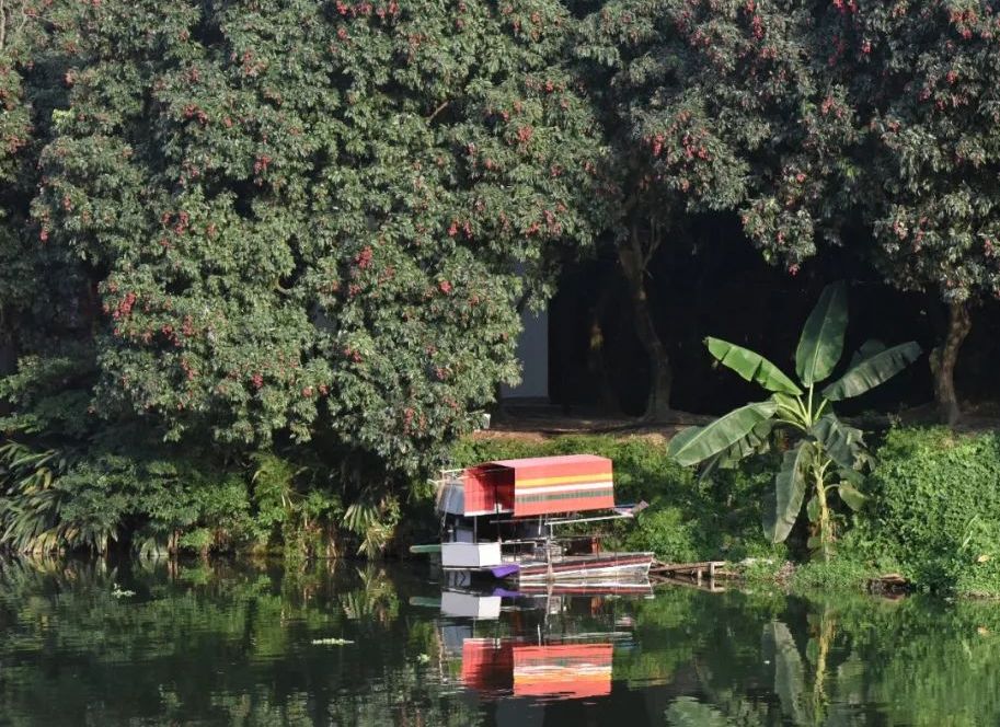流传千年的风味，那一抹不变幻的甜，是莆田人心头好
