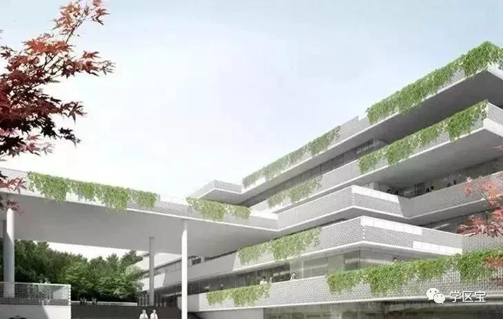 大源片区相关小学划片调整方案,2023大源小学划片