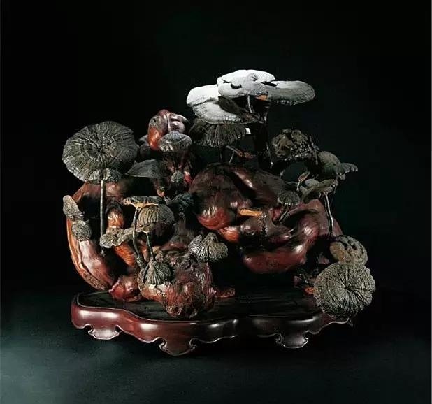 玩木头推荐木材,玩木头的十大好处