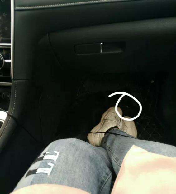 养狗是黑的好还是黄的好,养狗黑狗好吗