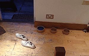 潮BOY如何怎样都改变不了夏天脚臭的事实