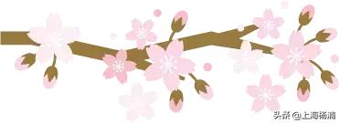 【健康丨第一】蔷薇NURSE讲述家庭医生服务站的“小方法”与“好口碑”