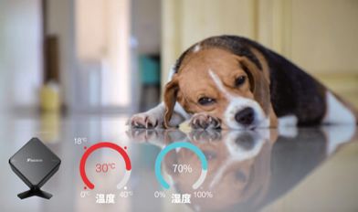 金制家中2.0来啦！