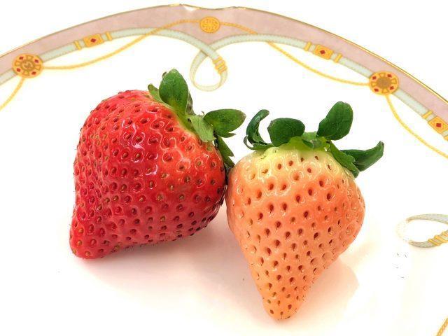 孕妇买草莓被婆婆和老公斥责 (孕妇买天价草莓)