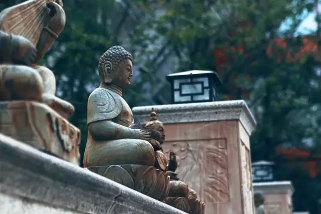 有智能马桶圈的酒店,湖州月亮酒店为什么称为马桶盖