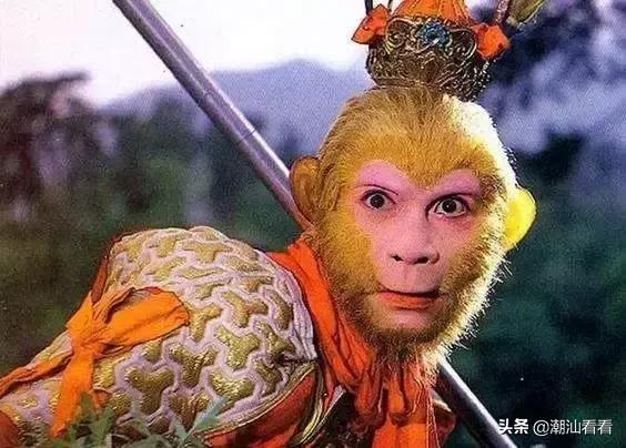 上世纪九十年代汕头发生了什么,汕头九十年代发生了什么