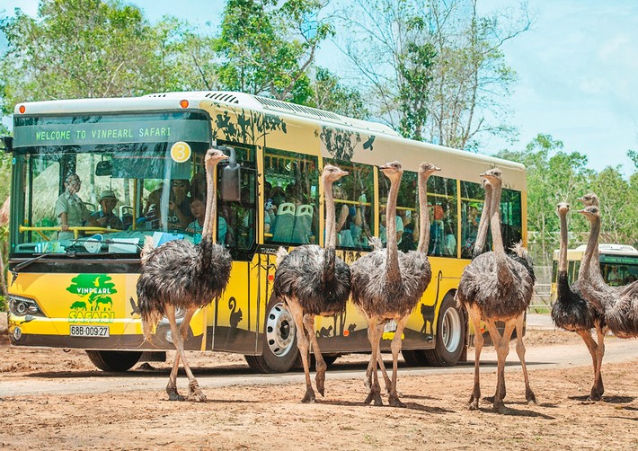 人少免签海岛,人少风景好的国家