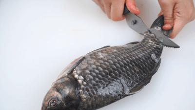 一把高端厨房鸡骨剪,双立人厨房刀具原装进口