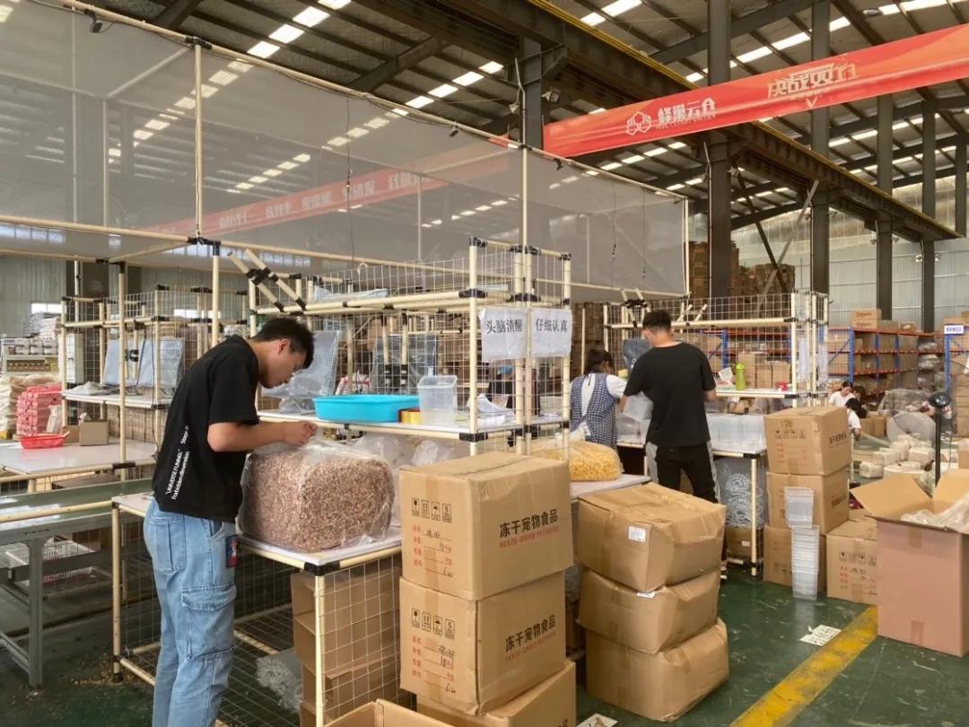 王宝强为什么会受到家乡人的尊敬,所有铲屎官