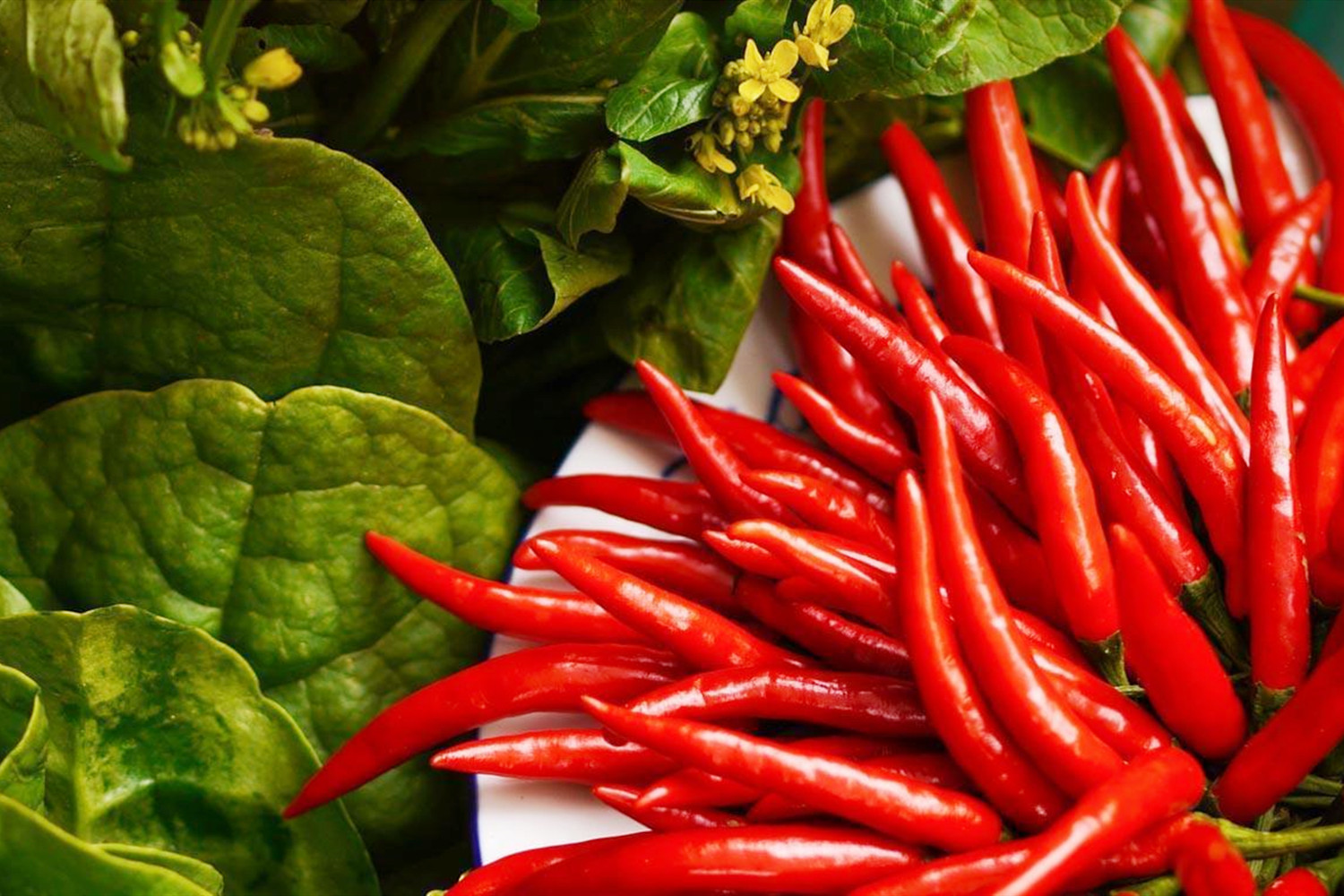 哺乳期吃什么会直接影响宝宝,哺乳期给孩子吃奶有影响吗