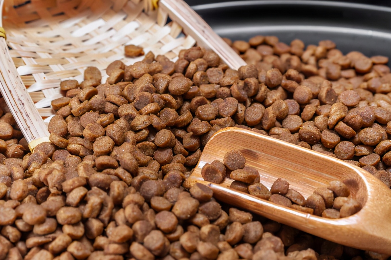 如何选猫粮价格不贵的品牌,如何挑选一款物美价廉的猫粮