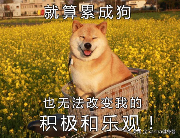 破解喝酒之谜,如何尽快解决啤酒肚