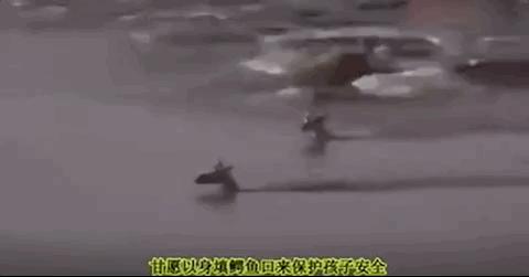 女童被妈妈饿成干尸,亲爸狂扇婴儿巴掌:你不知道,孩子有多爱你