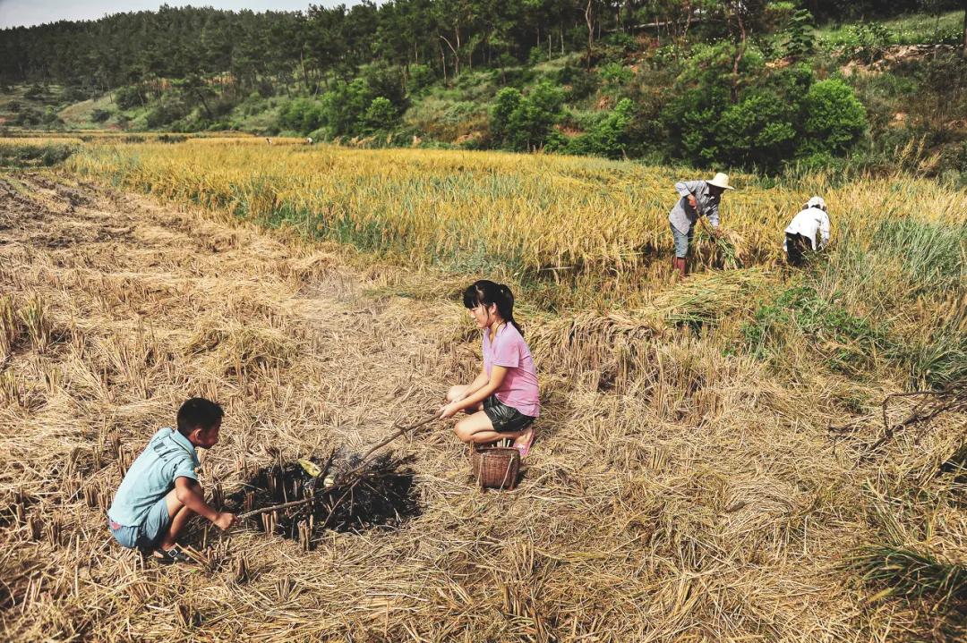 沉默的中专生,沉默的二本生
