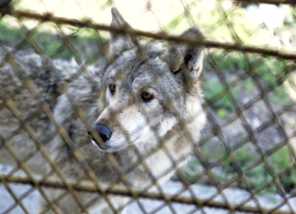 春游江淮请你来滁州版,春游江淮等您来