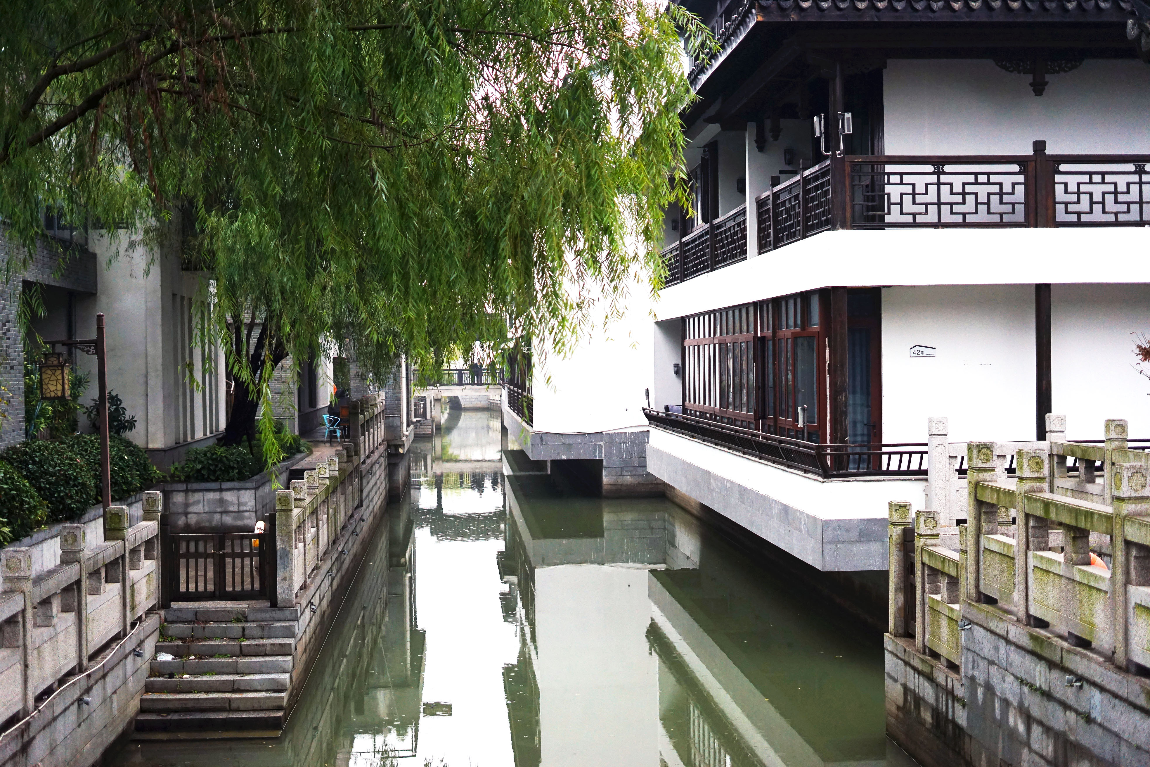 苏州是个温柔细腻且包容的城市,苏州是个温柔的地方