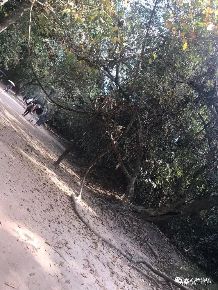 柬埔寨游记600字,柬埔寨游记美篇