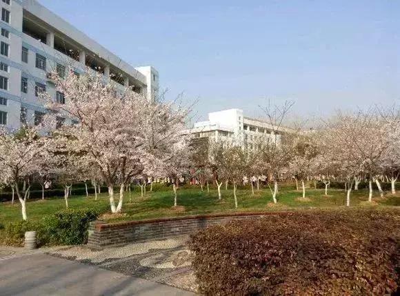 南京12所高校宿舍,南京市各大学宿舍条件排名