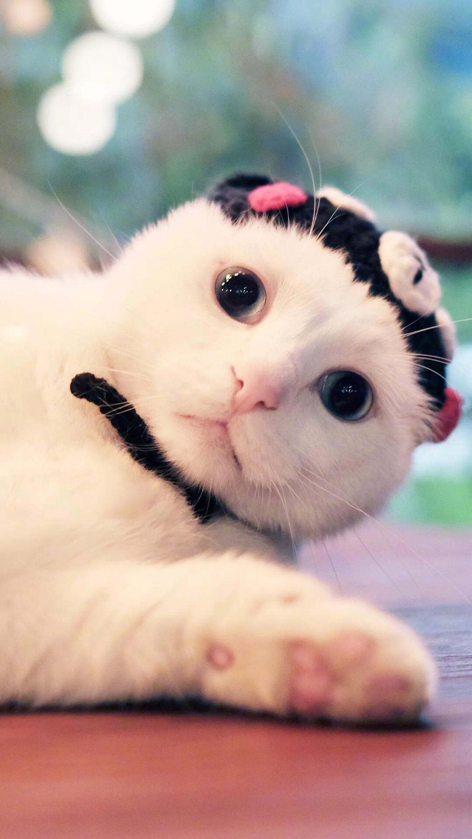 五本甜宠的都市言情小说,五本现代言情