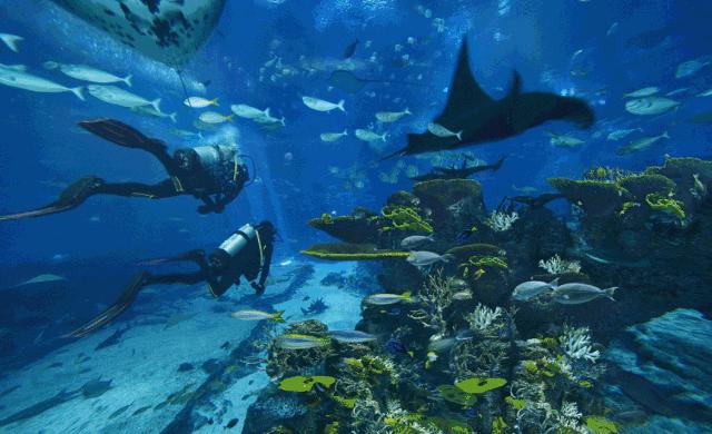 南京海底世界小朋友要票吗,南京海底世界99元一大一小套票