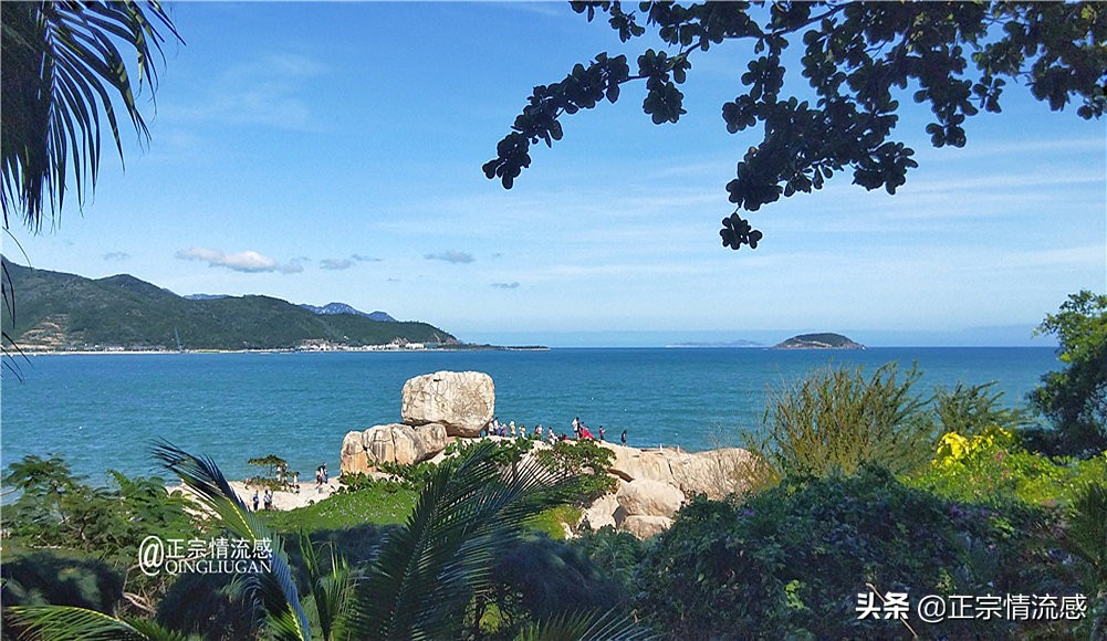 芽庄印象｜|想说爱你不容易