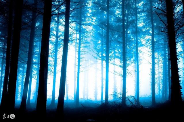 小说：小伙认清了现实，刚准备放弃和警察作对，就有人给他一千块