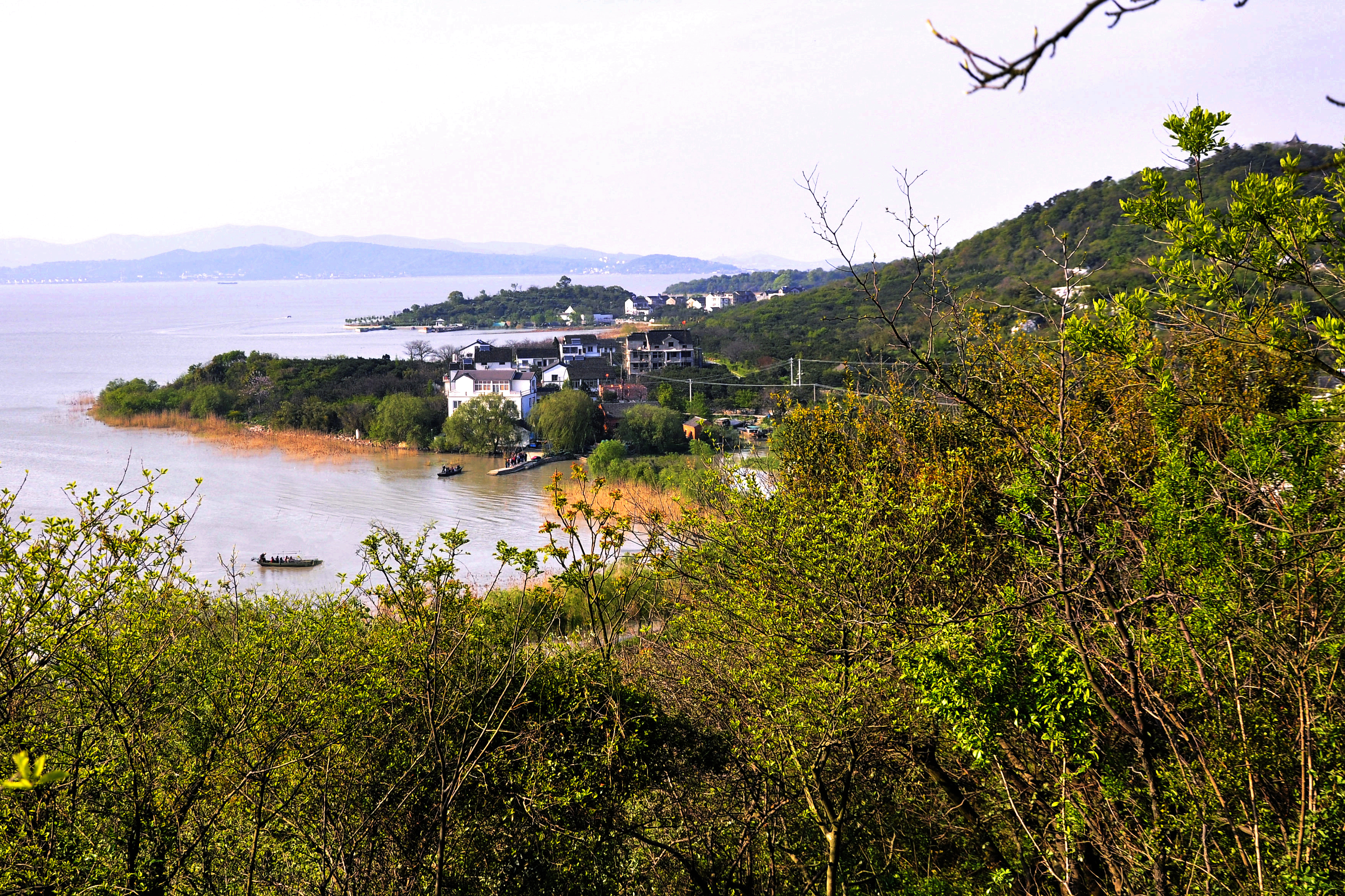 打卡苏州小众岛屿,苏州著名小岛有哪些景点
