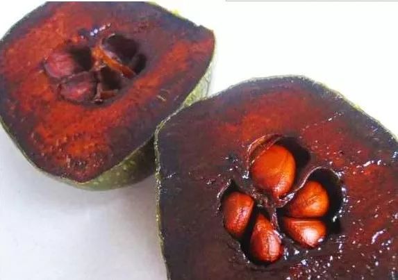 真的是活久见!长成这样居然能吃?