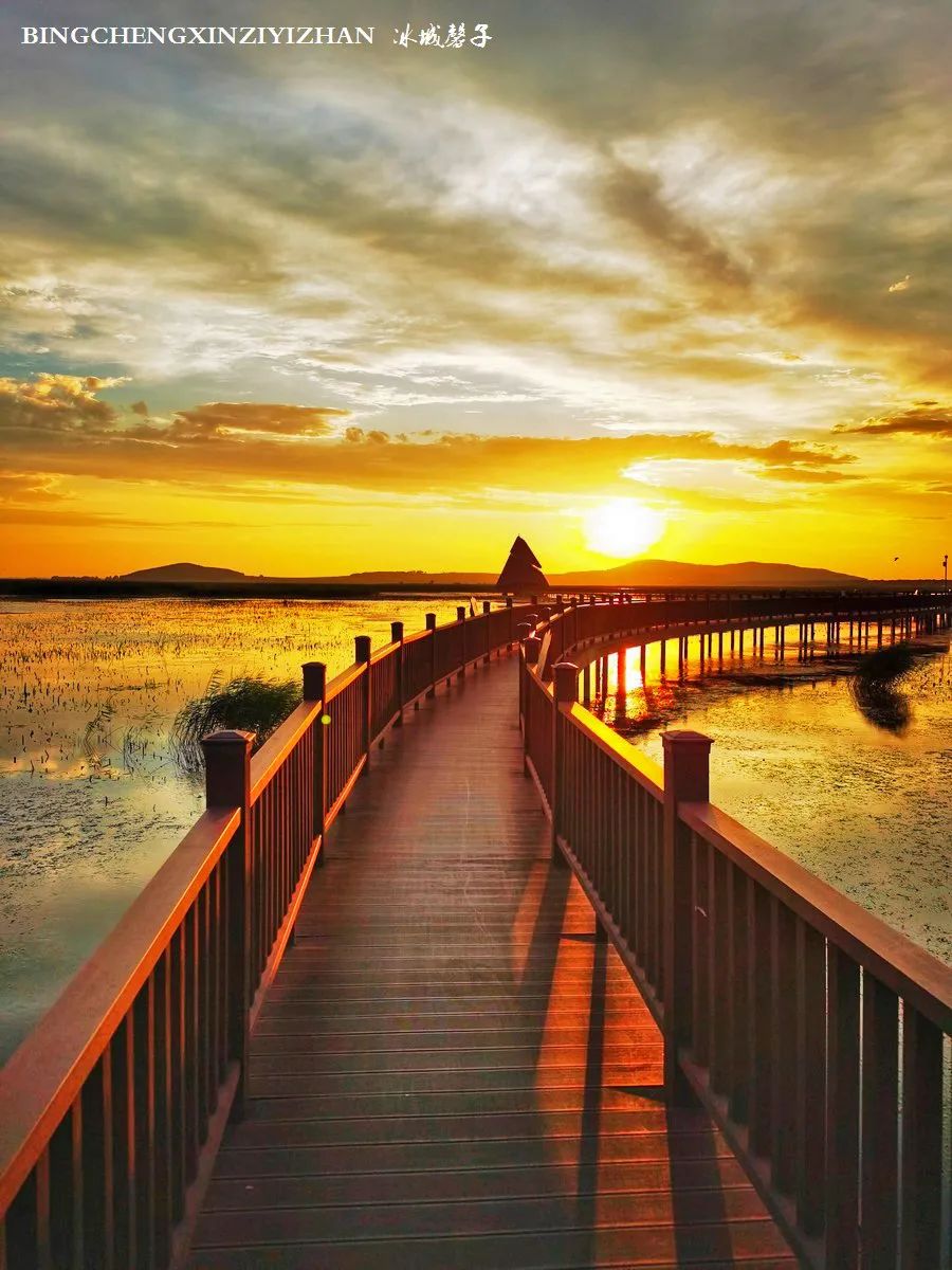 再返富锦，为着那份飘着稻花香的“湿”意约定