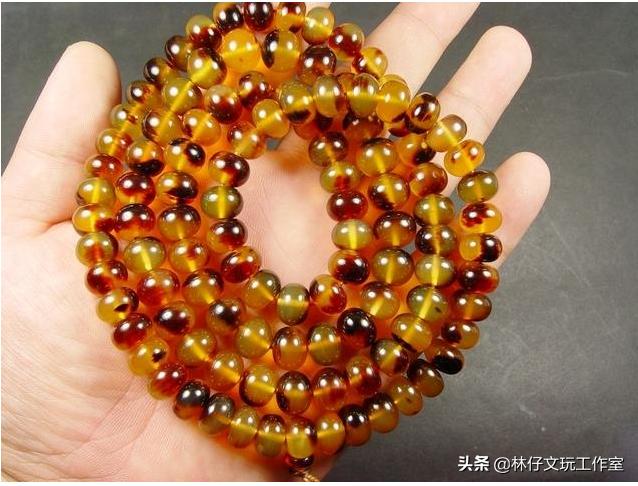 玳瑁保持颜色是如何处理的,为什么玳瑁一般人最好别碰