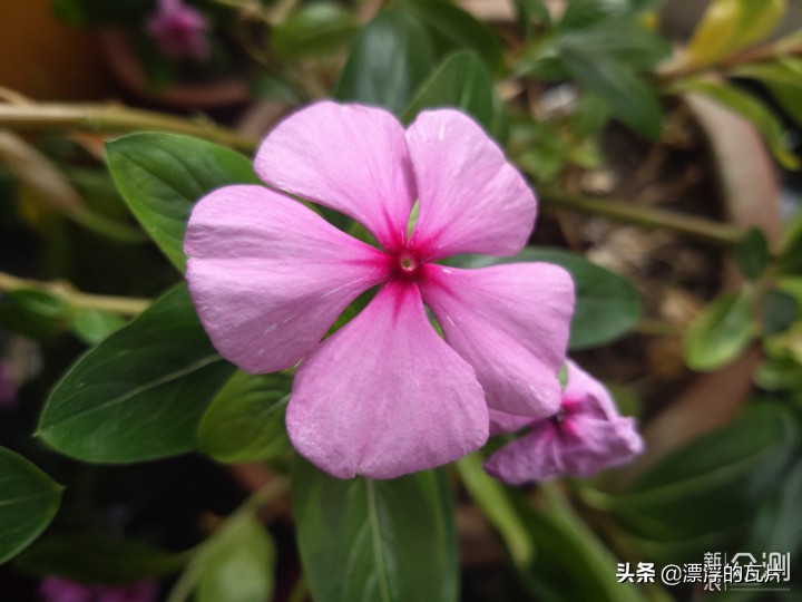 三星galaxya8s参数配置详情,三星a8s有哪些优缺点