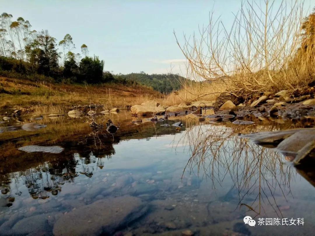 月经期间吃什么养子宫和卵巢,月经太少吃什么补得快