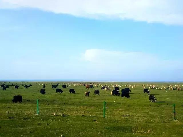 安顺生活感受,贵州安顺人的真实生活