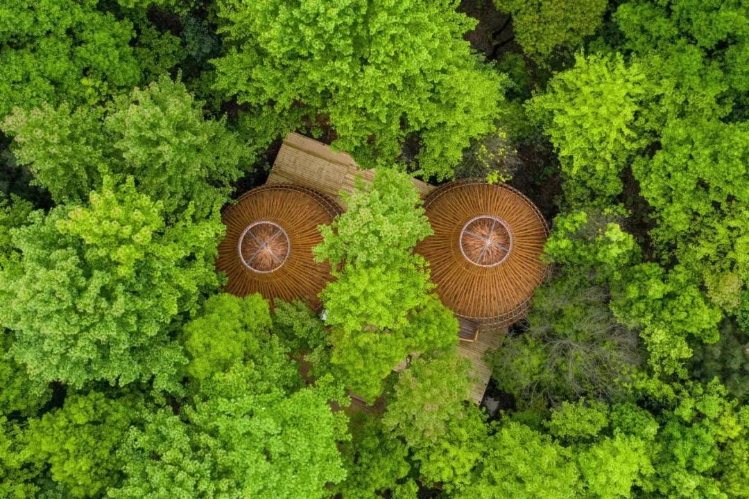 神仙眷侣辞掉高薪工作，爆改废弃山谷，造无边恒温泡池，全景树屋