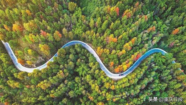 四好农村路让农民走上致富路,四好农村路助力乡村游