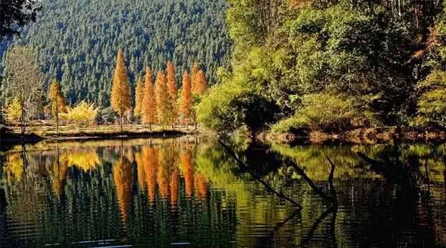 广东省内森林旅游景点,广东森林公园排行榜