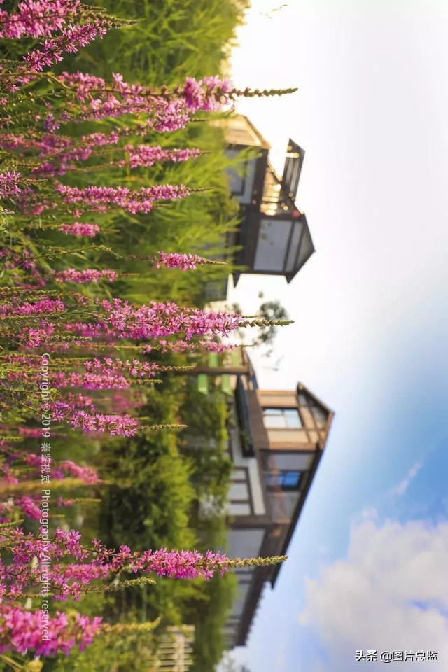 谈谈泾河新城,什么是泾河新城四纵三横