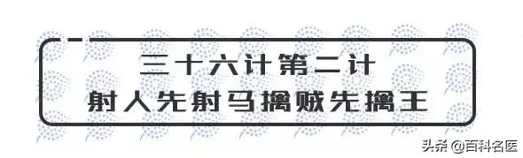 脱发自救神器,脱发自救指南电子书