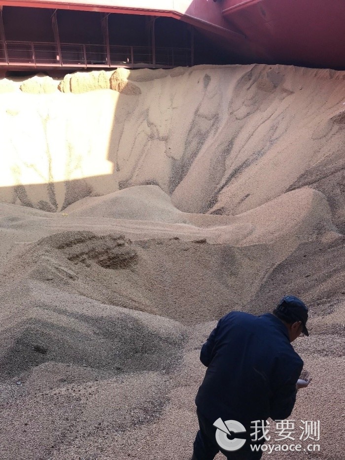 转基因大豆的发展史,转基因大豆的历史