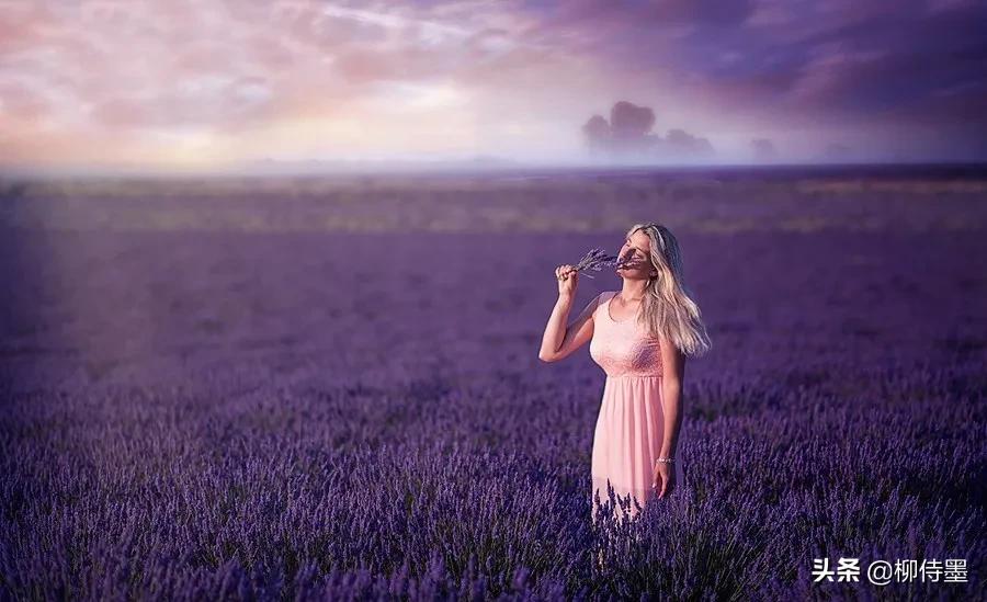 薰衣草花田拍照姿势大全,秋季薰衣草庄园拍照技巧
