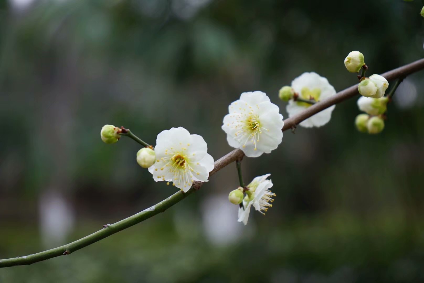 随笔在风华正茂的日子里迷途知返,随笔每一个孩子都值得期待