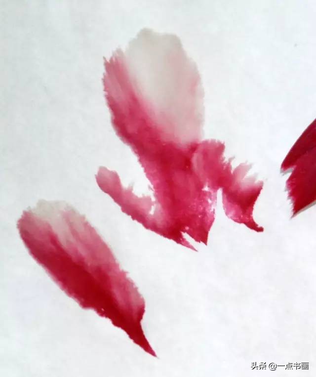 王绣写意牡丹画法步骤,王兮然写意牡丹画法视频大全