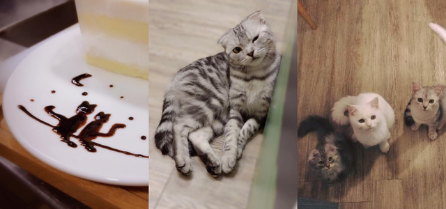 浪漫又雅致的咖啡馆,闲暇时光有情调的咖啡馆